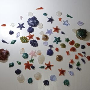 Deko Material Muscheln - Buntes Set