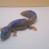 Eidechse Gecko - Unikat – Bild 7