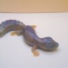 Eidechse Gecko - Unikat – Bild 8
