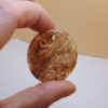 Tiermarke - Rund - Unikat – Bild 5