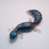 Eidechse Gecko - Unikat – Bild 10