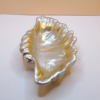 Muschel Schale - Seifenschale - Unikat – Bild 6