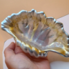 Muschel Schale - Seifenschale - Unikat – Bild 9